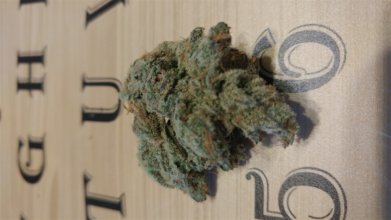 Blucifer