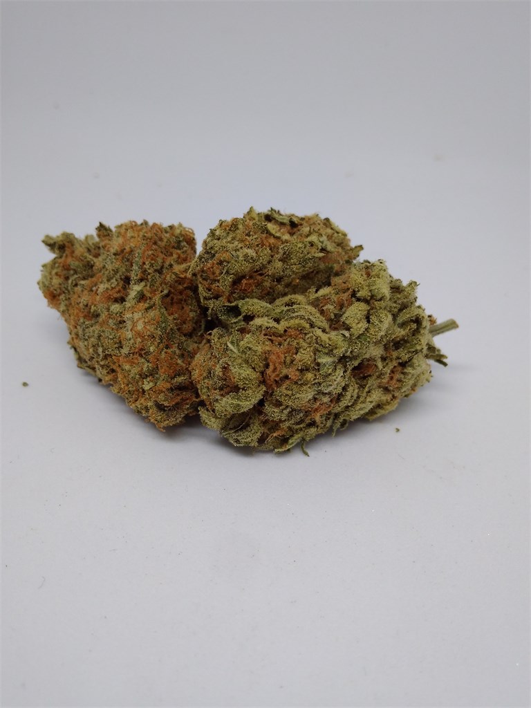 Foto de la variedad Blue Afghani