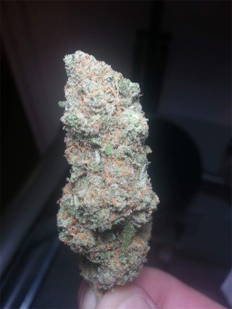 Blue Alien