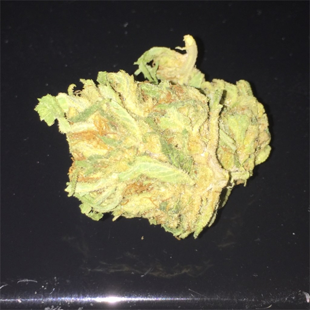 Blue Dragon