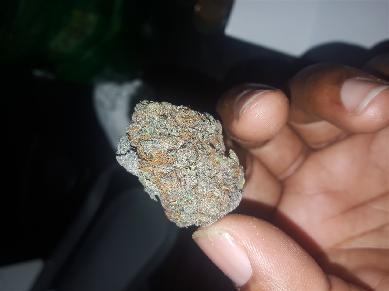 Foto de la variedad Blue Dynamite
