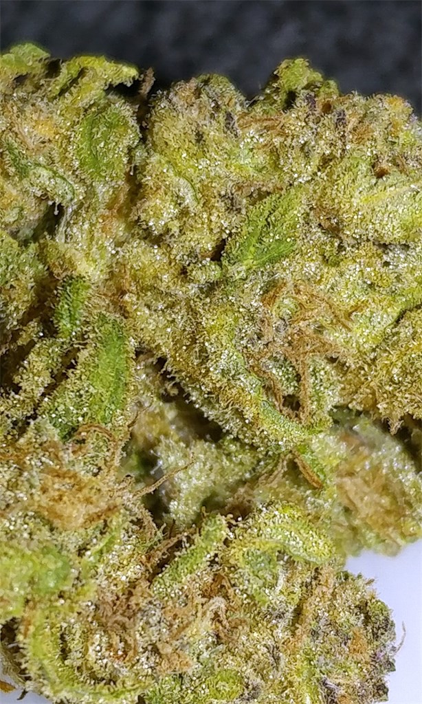 Blue Frost