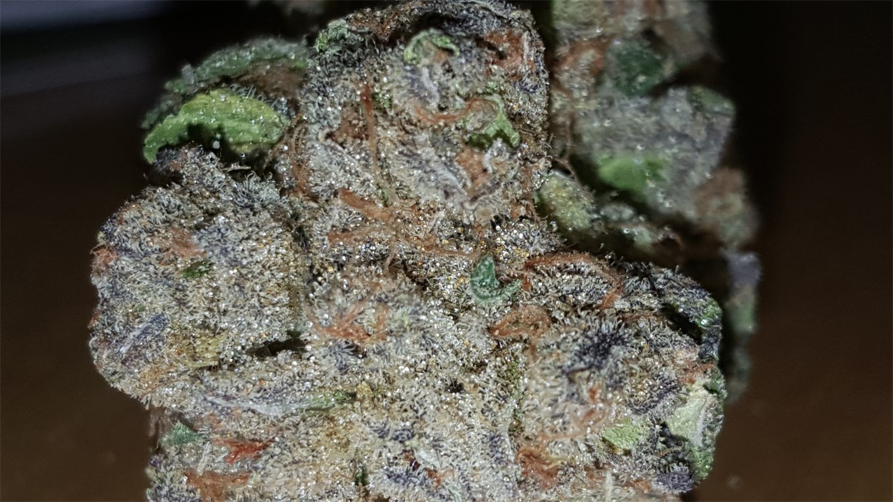 Blue God