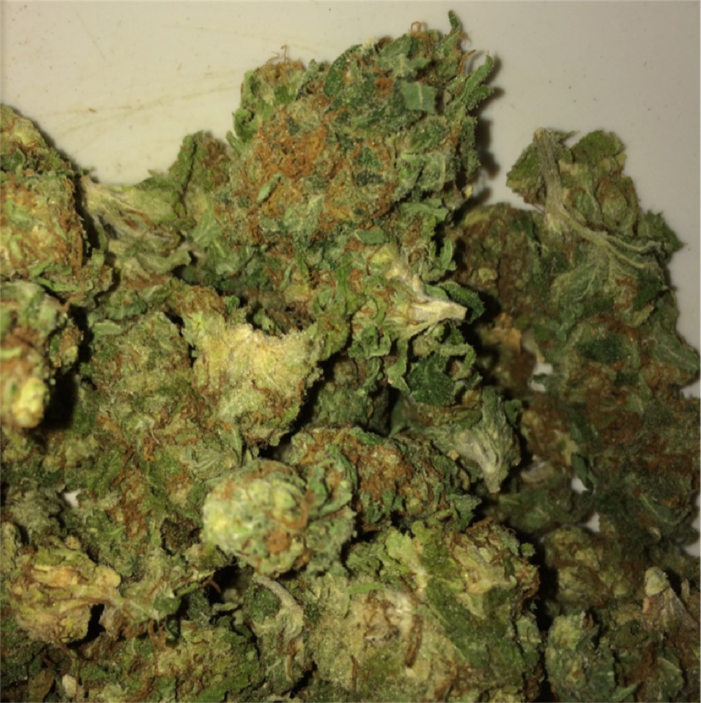 Foto de la variedad Blue Hawaiian