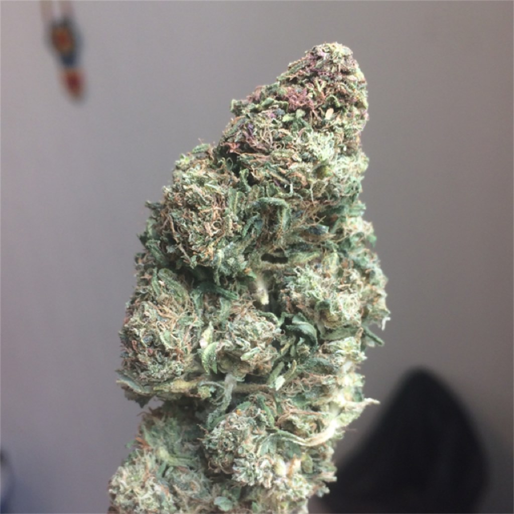 Blue Haze