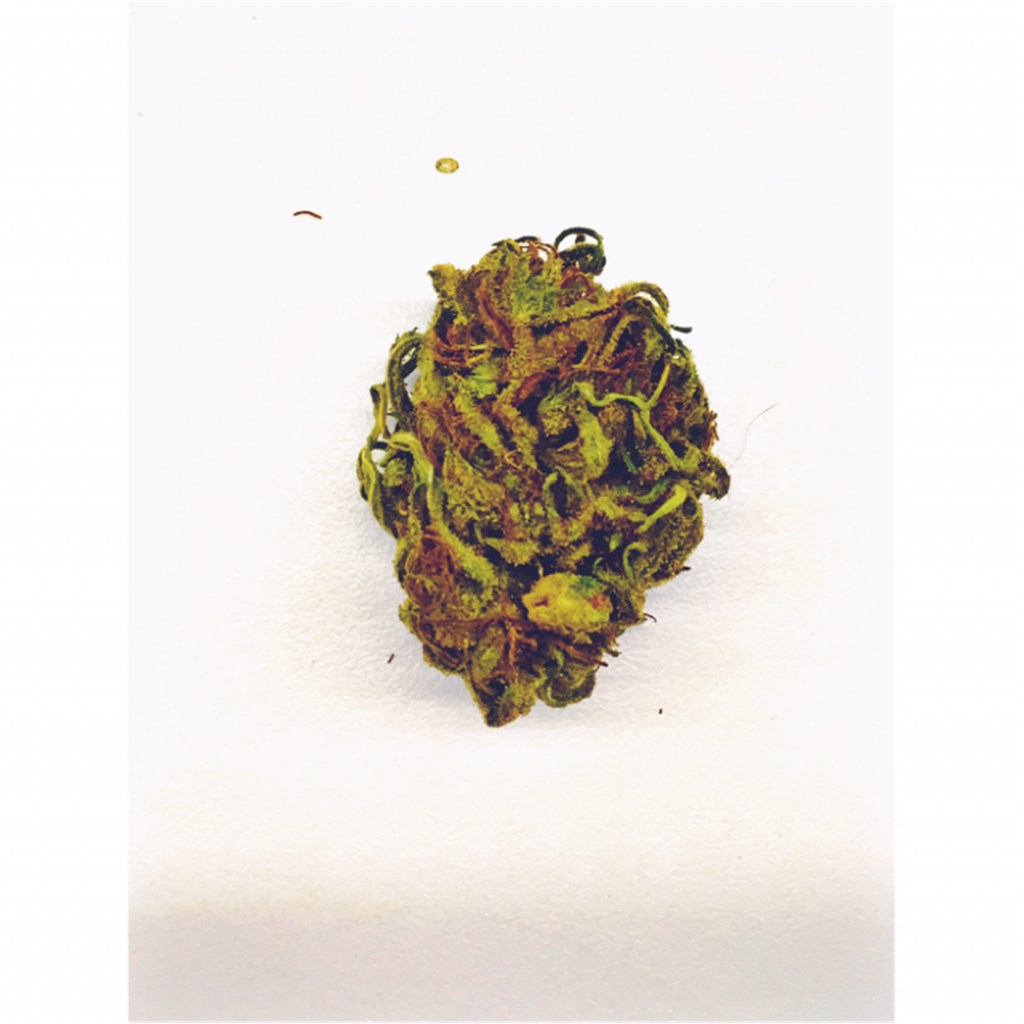 Blue Kush
