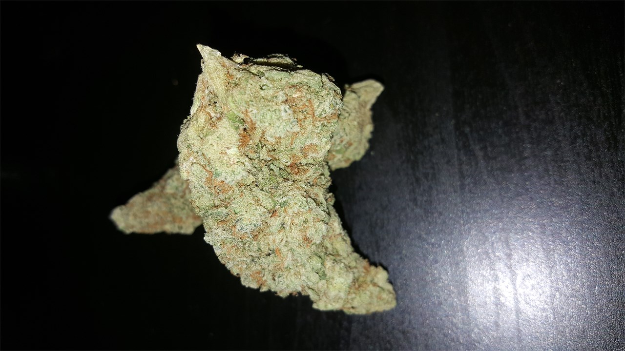 Foto de la variedad Blue Lights