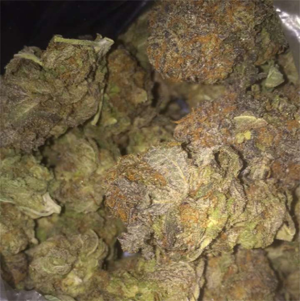 Foto de la variedad Blue Moon Rocks