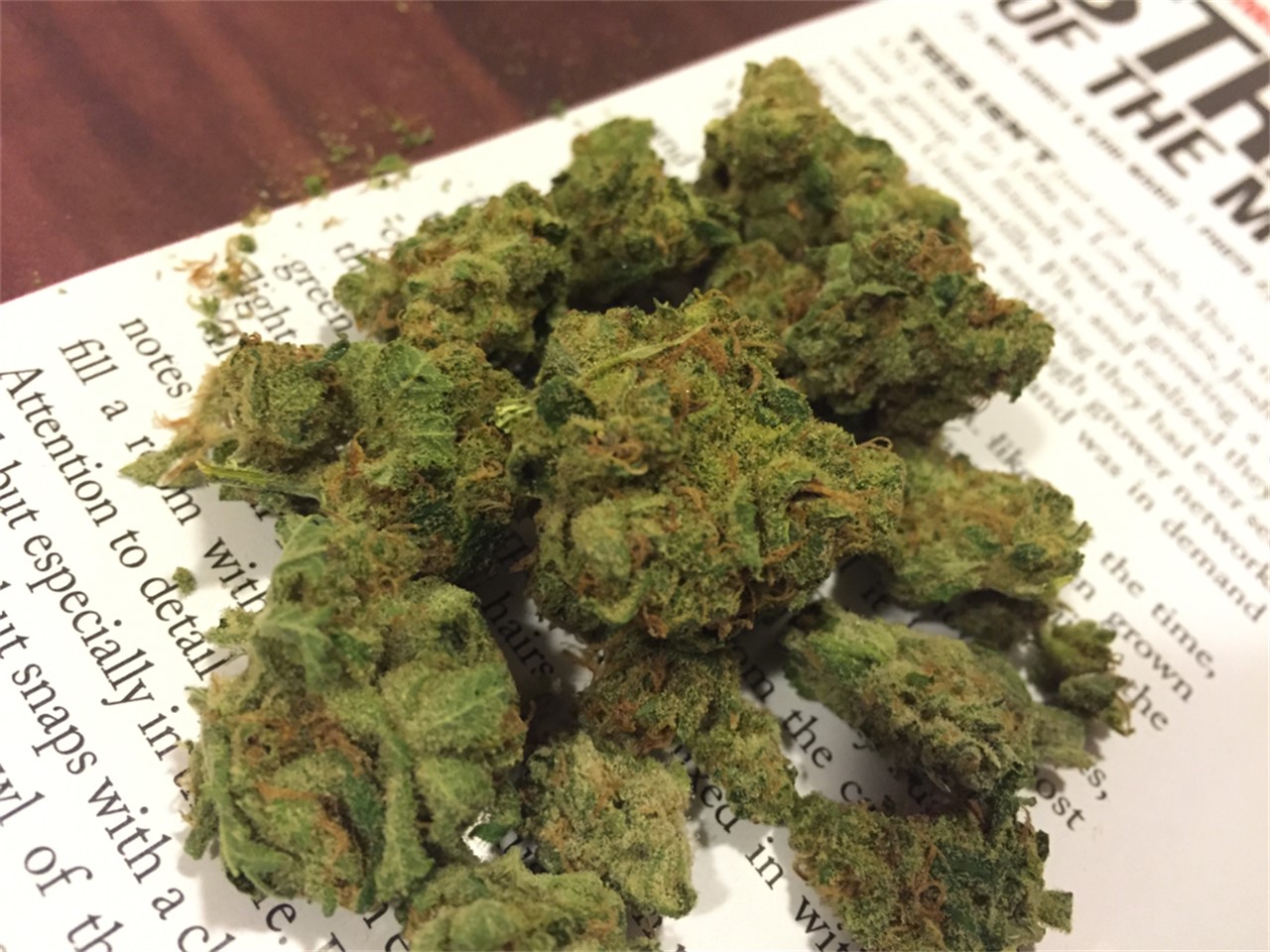 Foto de la variedad Blue Treat