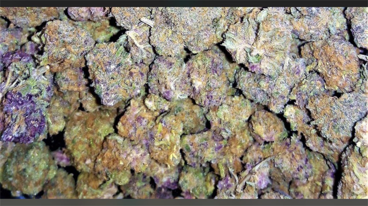 Blue Zombie