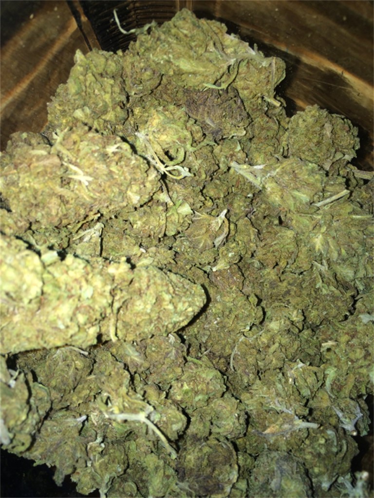 Blueberry Essence