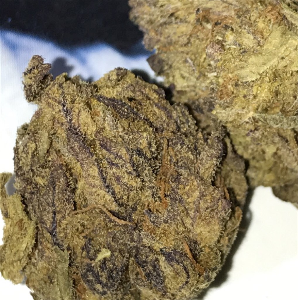 Blueberry Kush