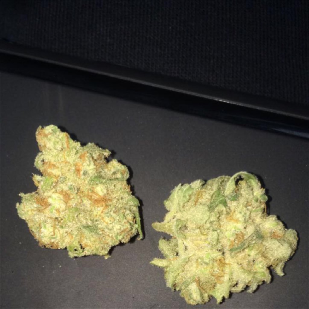 Foto de la variedad Blueberry Pancakes