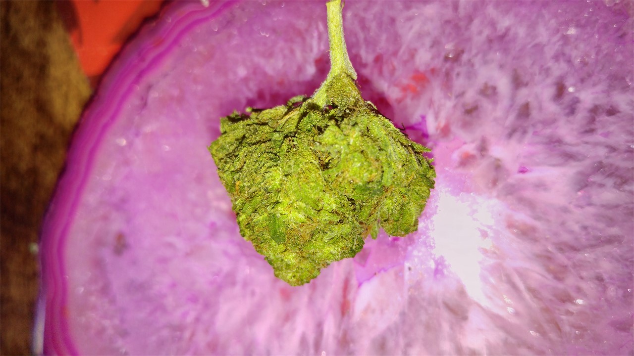 Blueberry Yum Yum