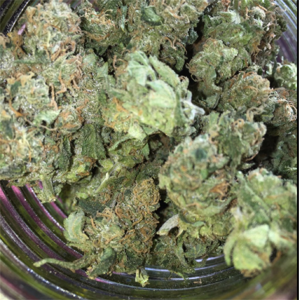 Foto de la variedad Blues