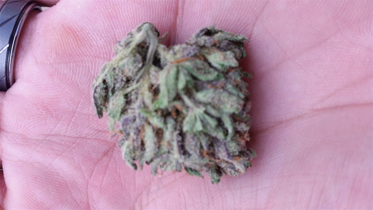 Blurple