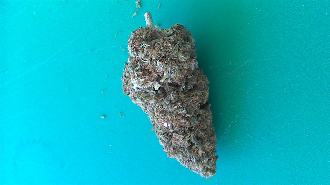 Boysenberry
