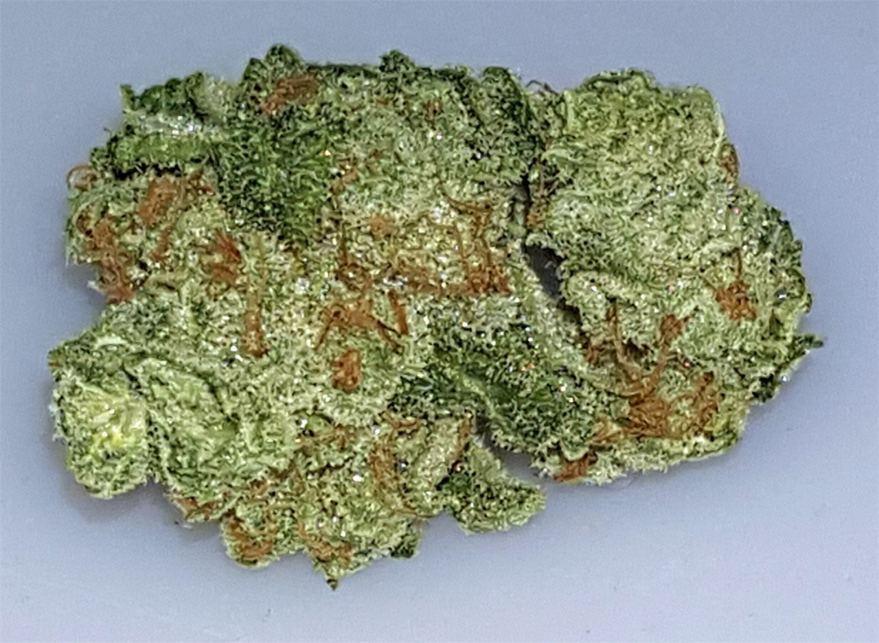 Foto de la variedad Bruce Banner #3