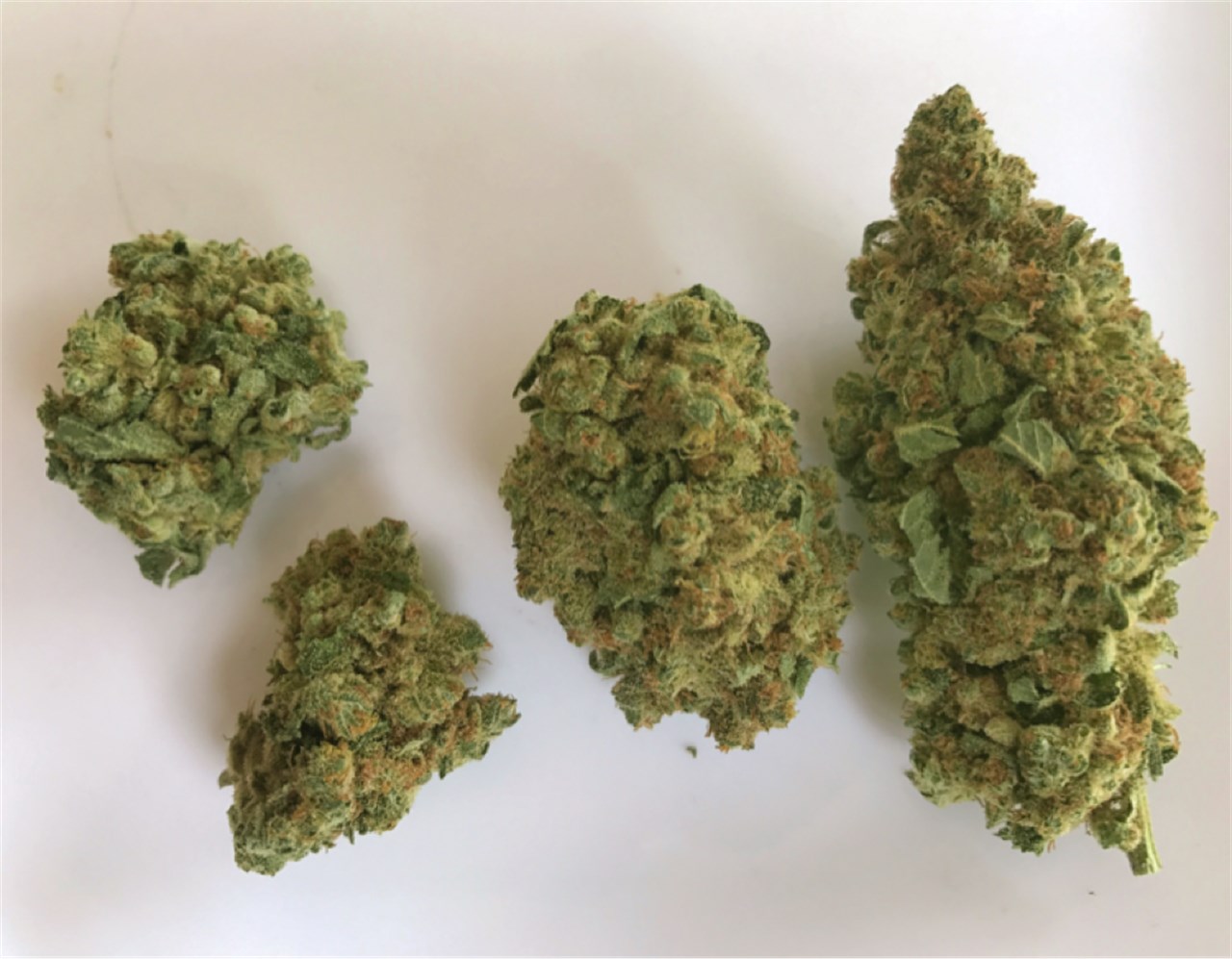 Bruce Banner Cannabis Strain Information Leafly