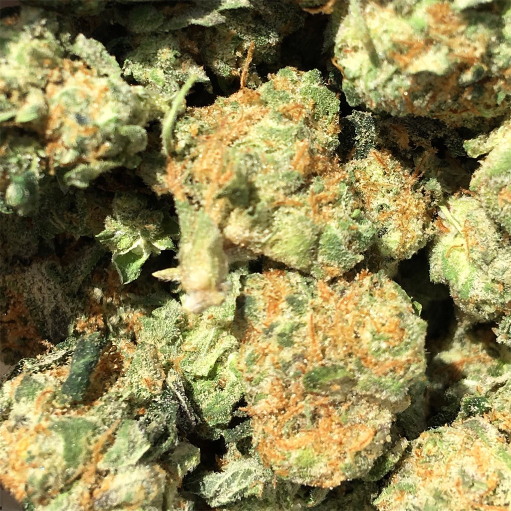 Boy Scout Cookies