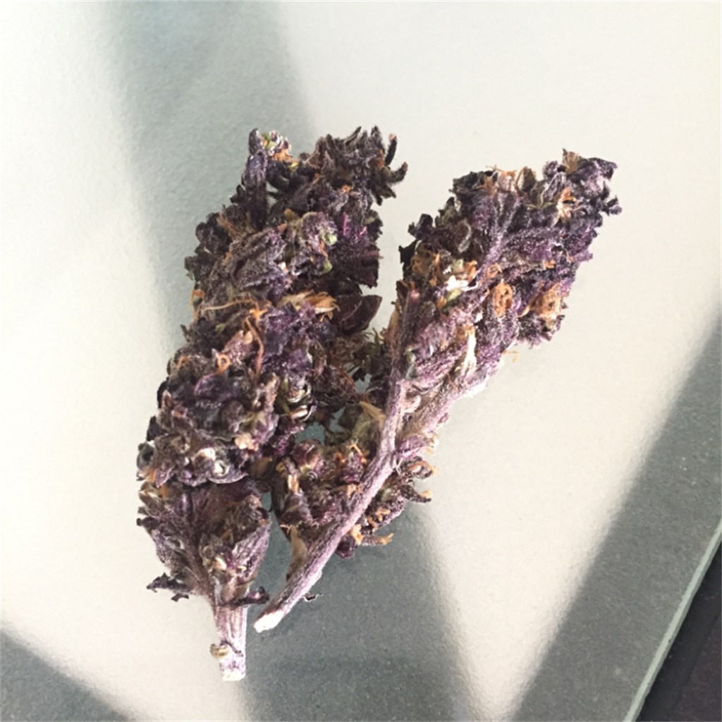 Foto de la variedad Bubba x Skunk