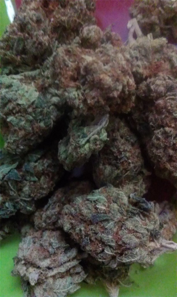 Bubble Cheese