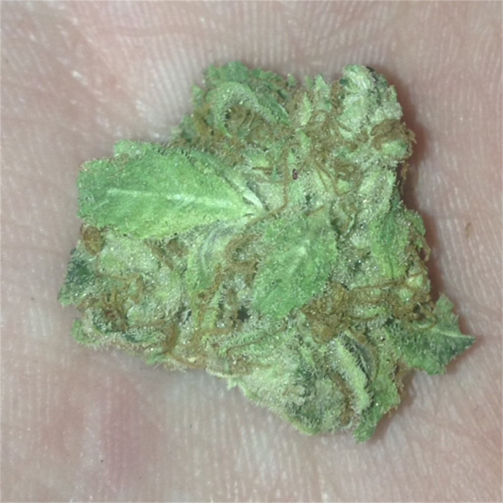 Bubbleberry