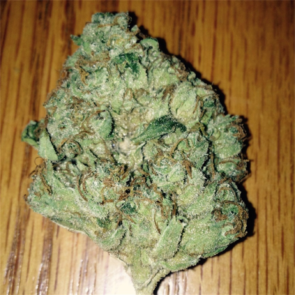 Foto de la variedad Bubbleberry