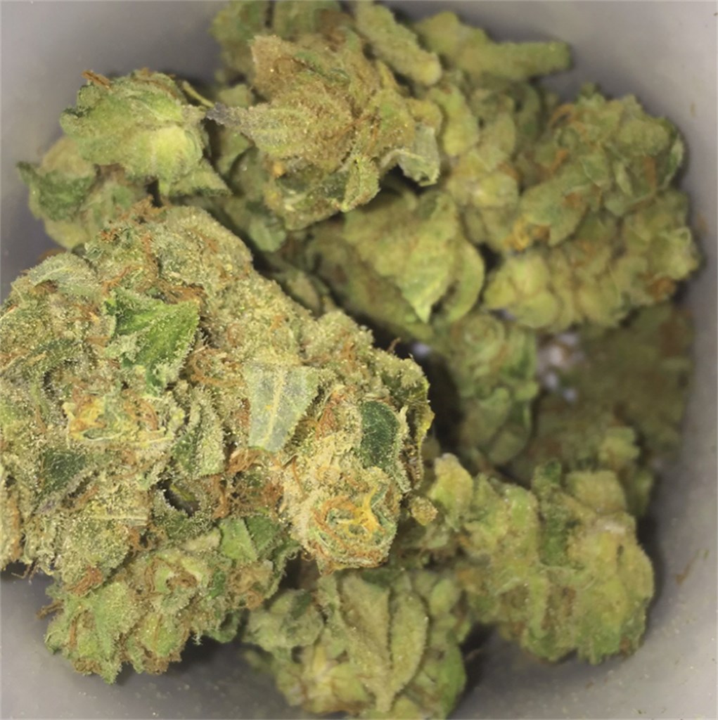 Buddha Haze