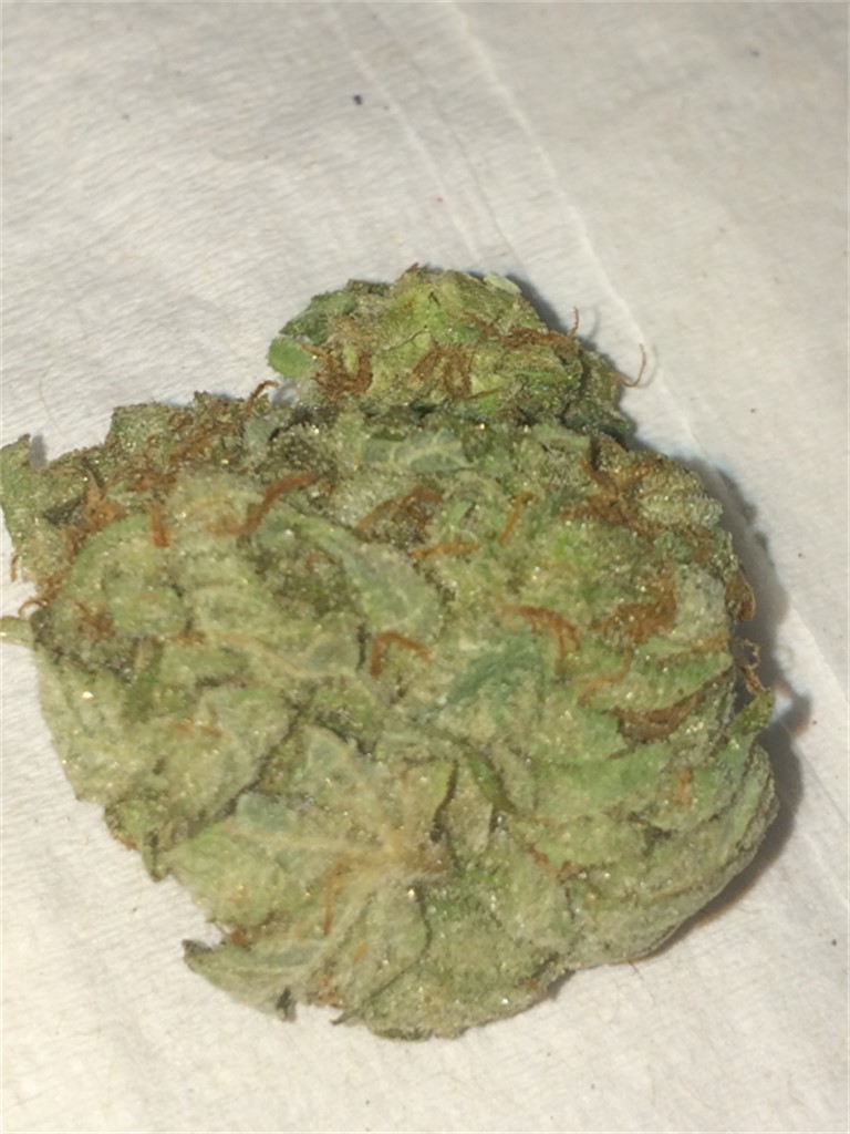 Buddhas Hand