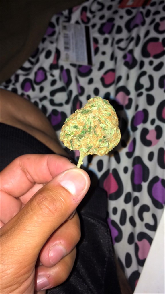 C13 Haze