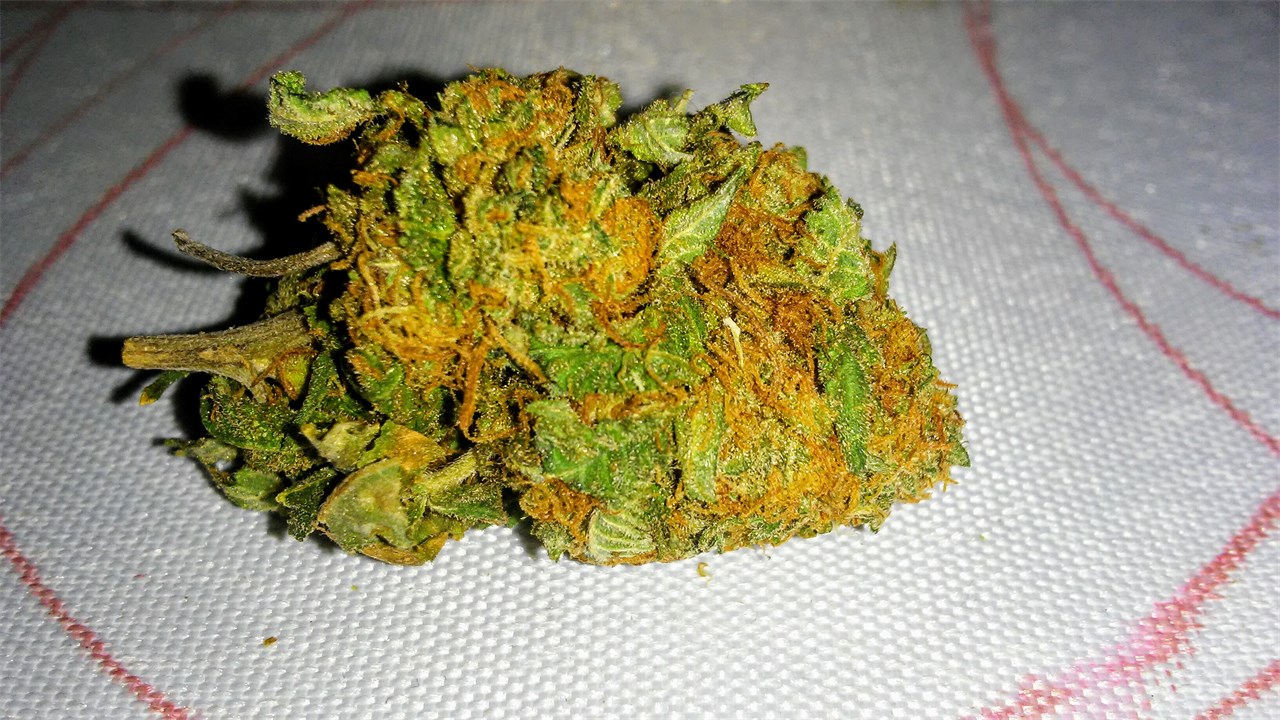 California Gold