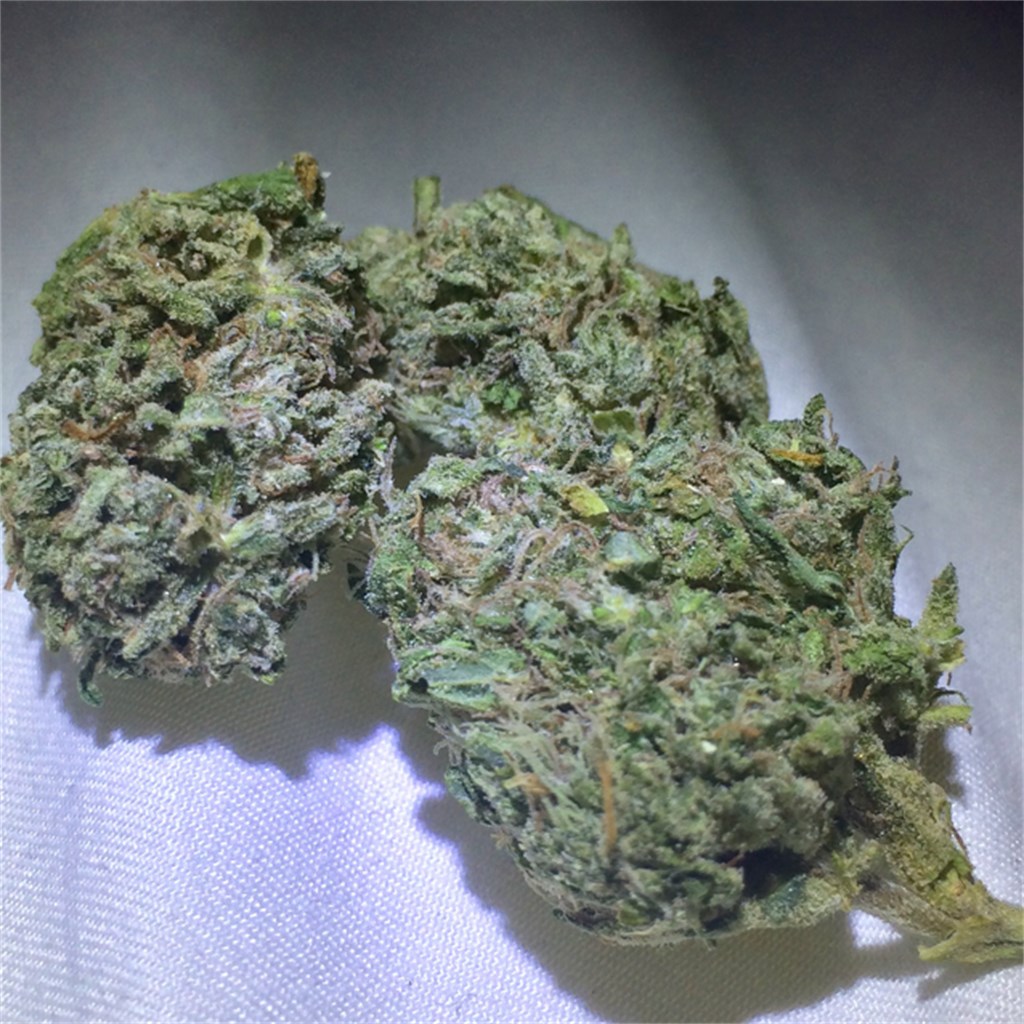 Foto de la variedad California Kush