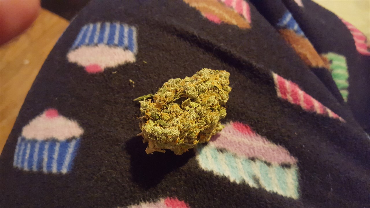 California Grapefruit