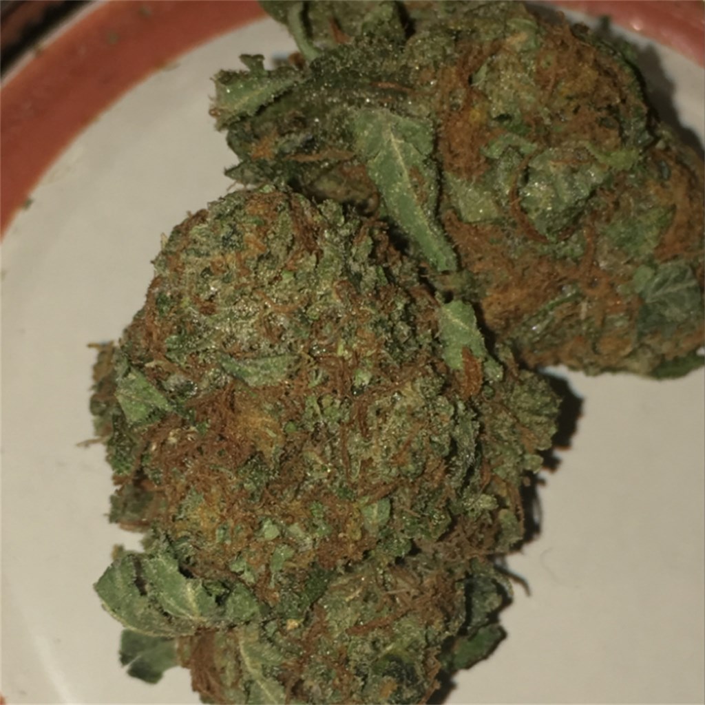Foto de la variedad California Sour