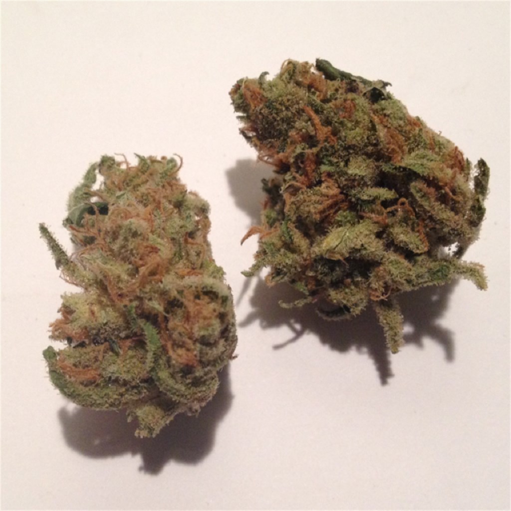 Candy Jack
