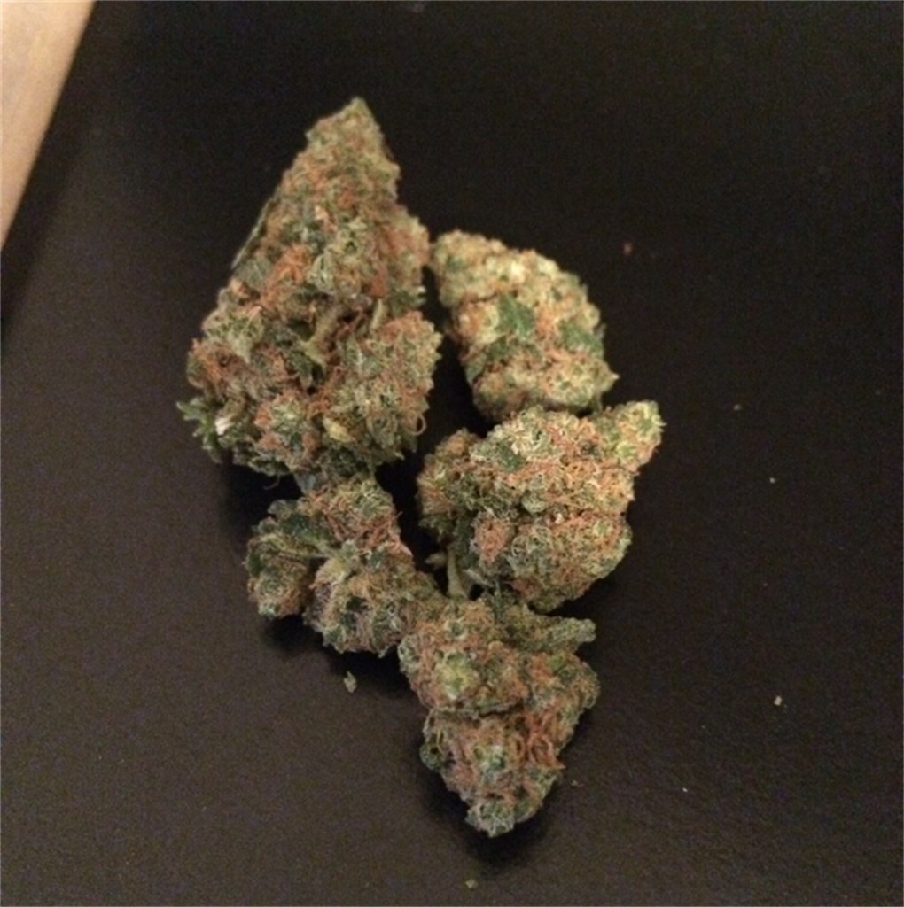 Foto de la variedad Canna-Tsu