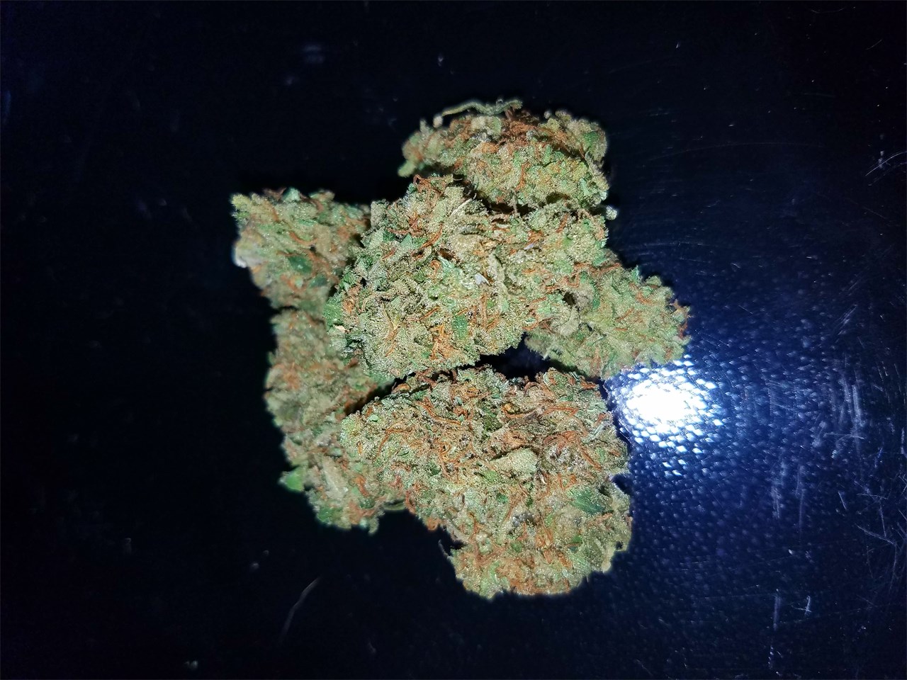 Foto de la variedad CBD Critical Mass
