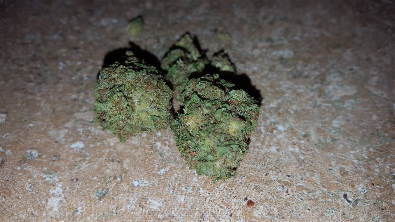 Foto de la variedad CBD Kush