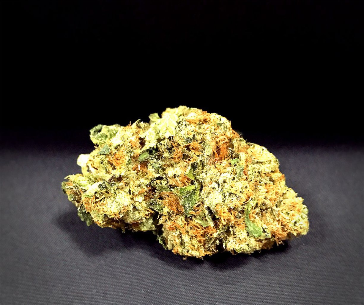 Champagne Kush
