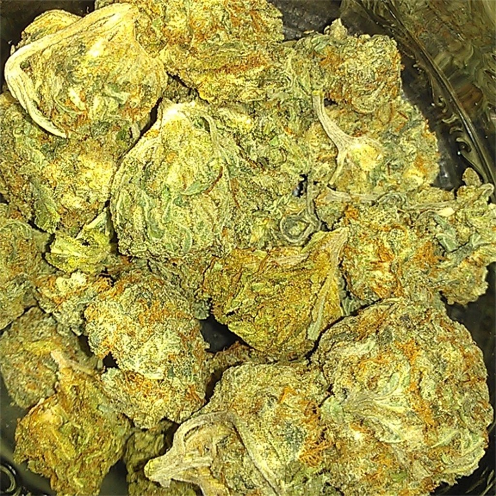 Cheese Candy