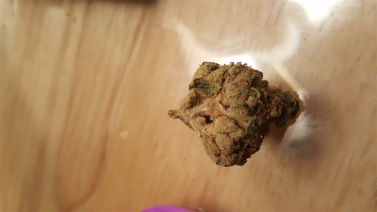 Chem's Sister