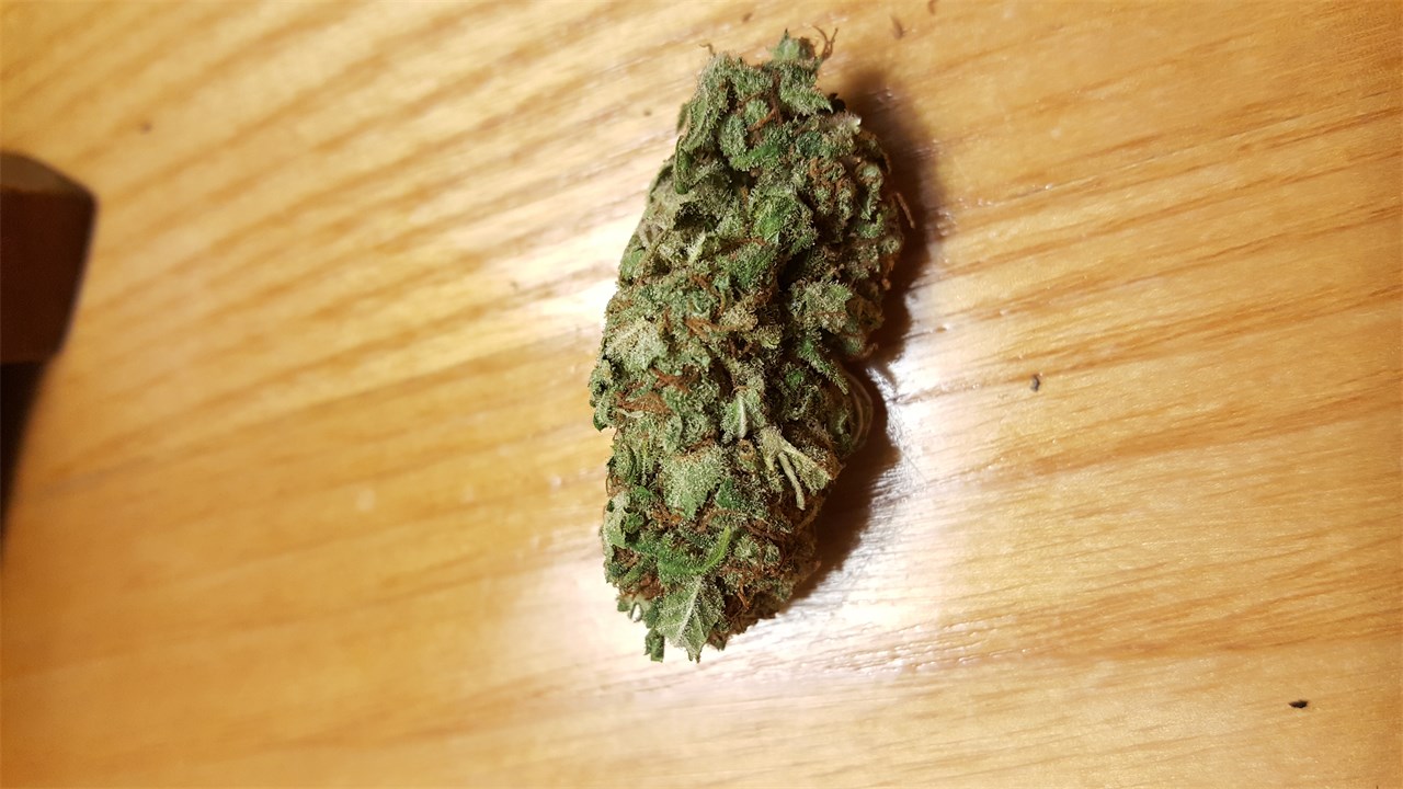 Foto de la variedad Cherry Bomb