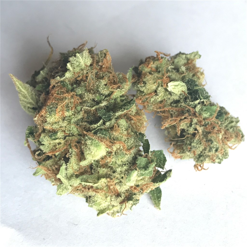 Foto de la variedad Cherry Diesel