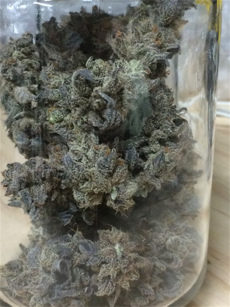 Cherry Durban Poison