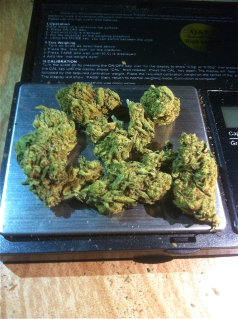 Foto de la variedad Cherry Grapefruit