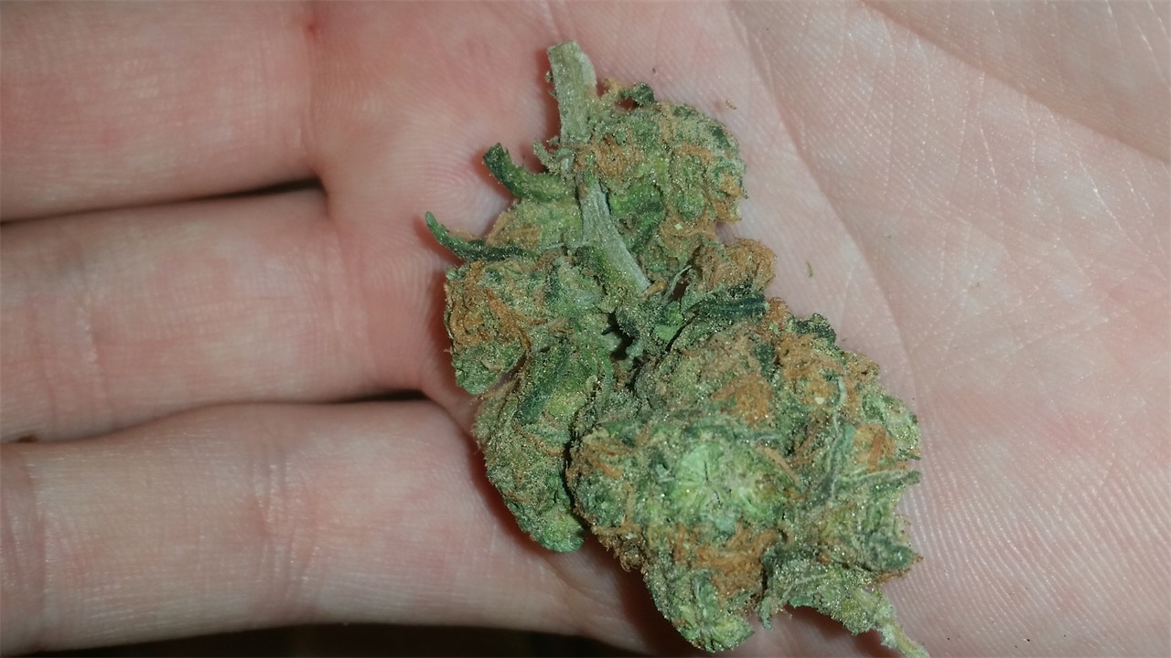 Cherry Limeade