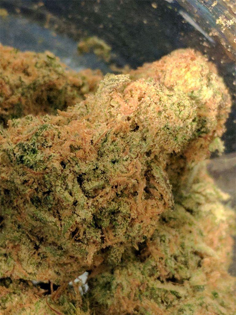 Cherry Pie Kush
