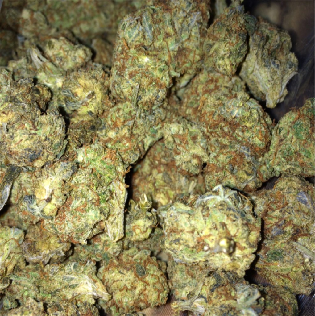 Chocolate Diesel