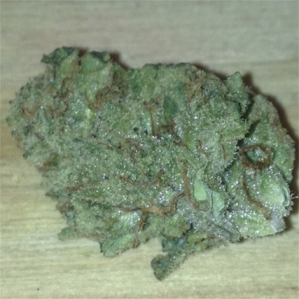 Foto de la variedad Chocolate Thai